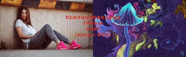 мдпв Карталы