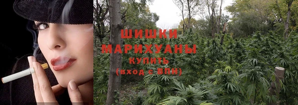 ГАЛЛЮЦИНОГЕННЫЕ ГРИБЫ Киренск