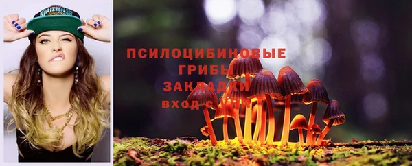 крисы Иноземцево